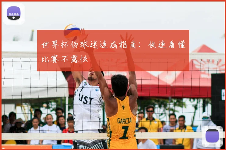世界杯伪球迷速成指南：快速看懂比赛不露怯