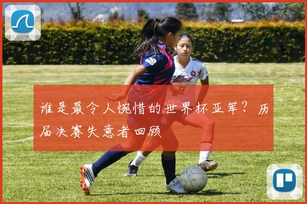 谁是最令人惋惜的世界杯亚军？历届决赛失意者回顾