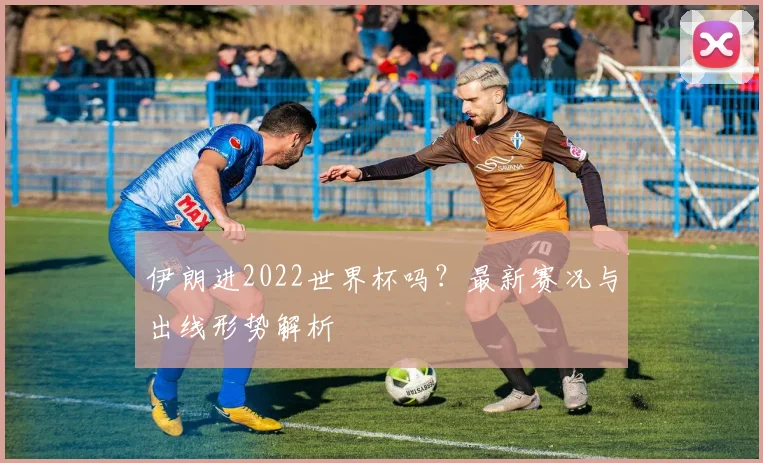 伊朗进2022世界杯吗？最新赛况与出线形势解析