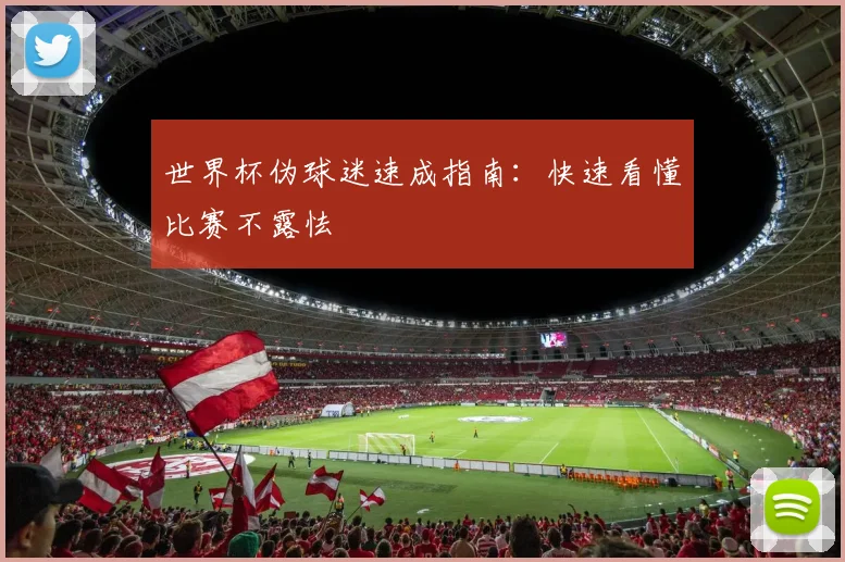 世界杯伪球迷速成指南：快速看懂比赛不露怯