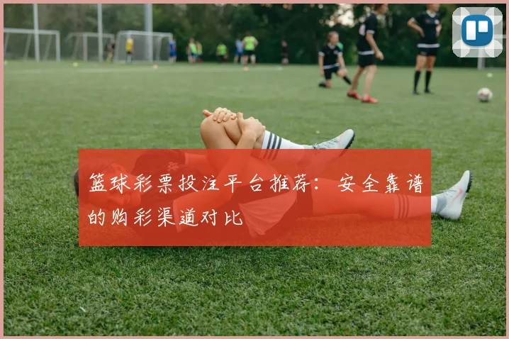 篮球彩票投注平台推荐：安全靠谱的购彩渠道对比