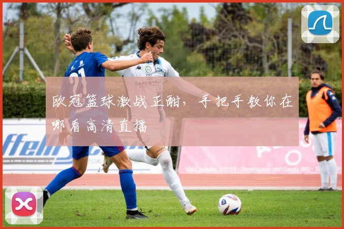 欧冠篮球激战正酣，手把手教你在哪看高清直播